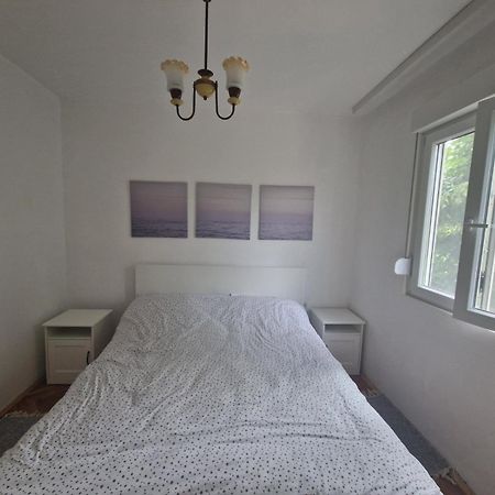 Apartman Mamut Apartment Donji Milanovac Luaran gambar