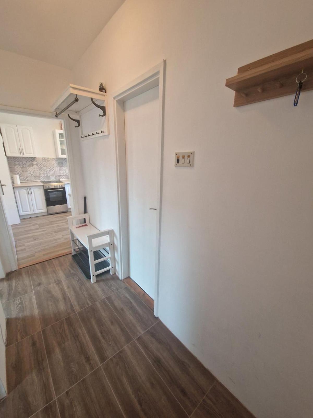 Apartman Mamut Apartment Donji Milanovac Luaran gambar