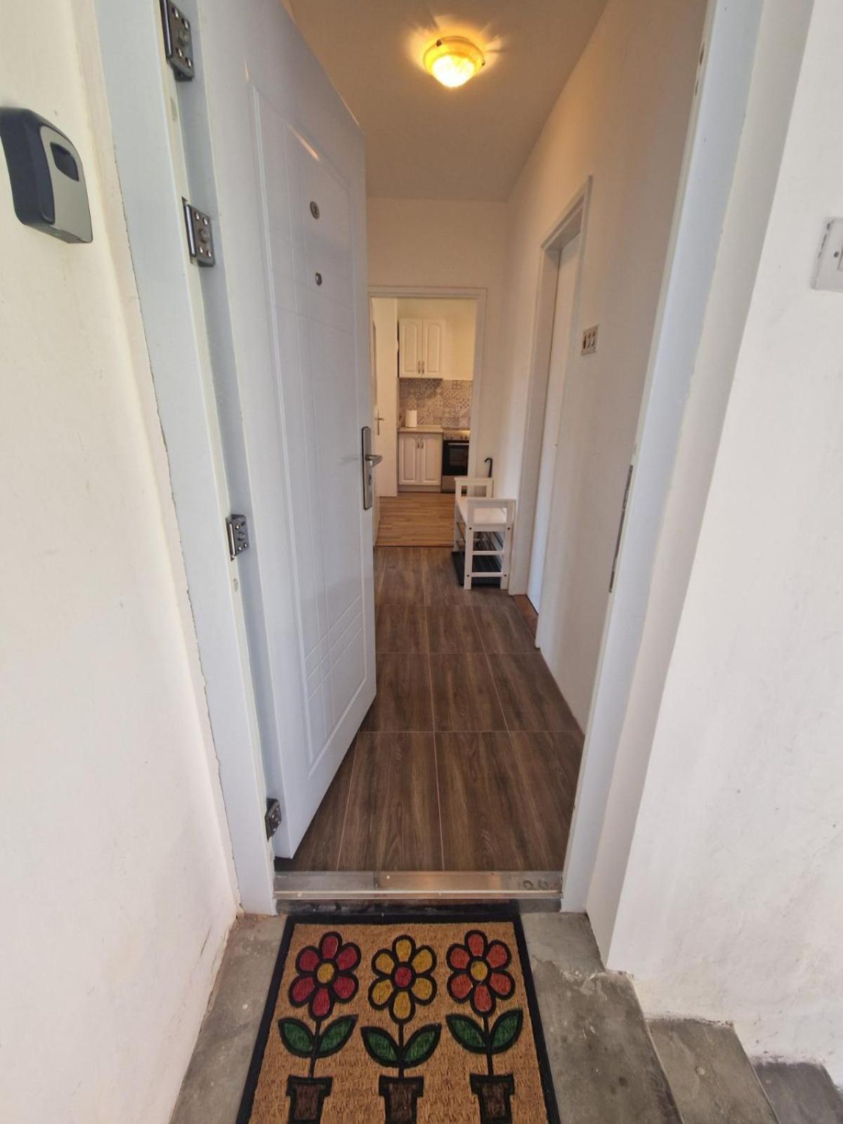 Apartman Mamut Apartment Donji Milanovac Luaran gambar