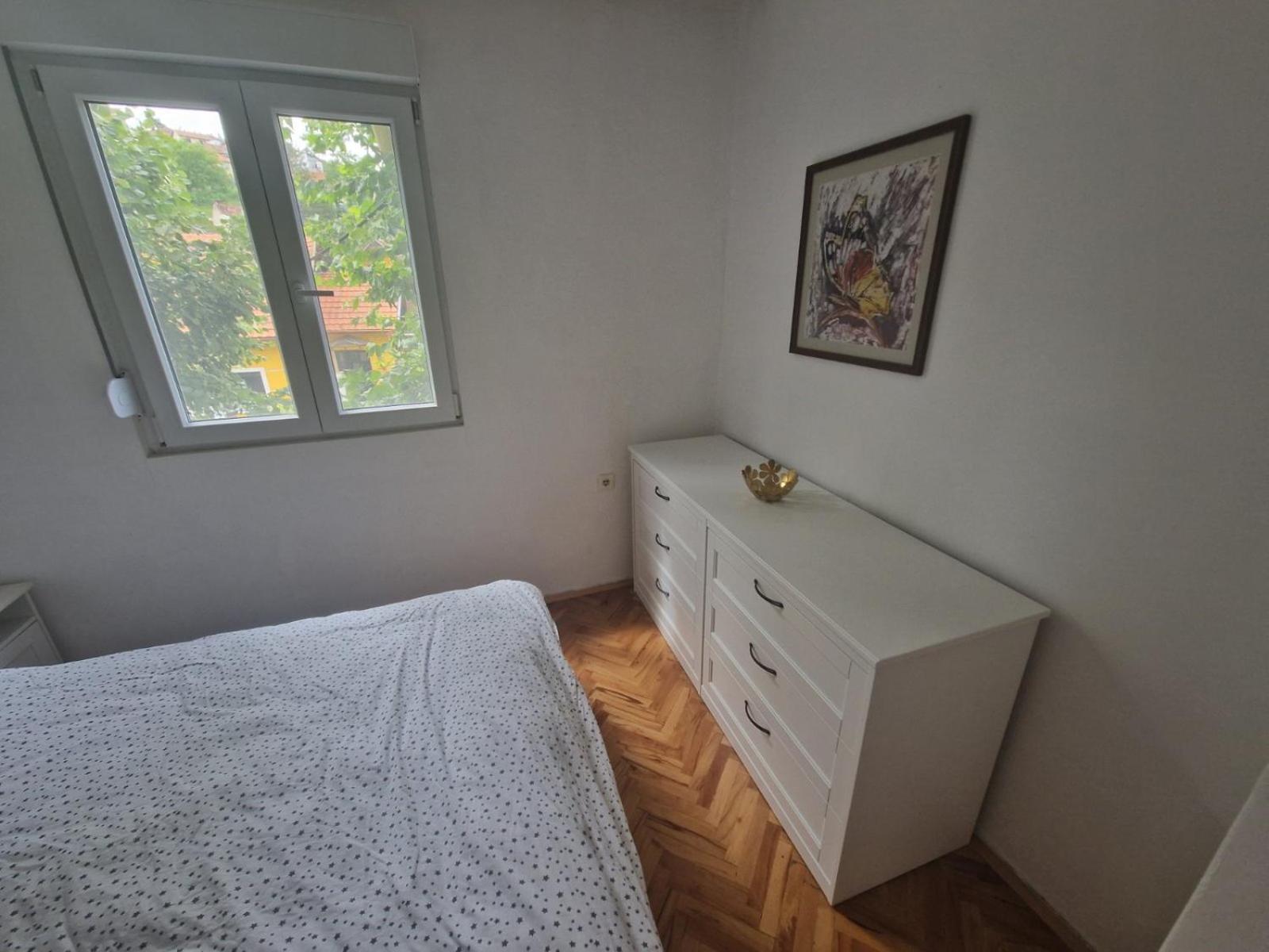 Apartman Mamut Apartment Donji Milanovac Luaran gambar