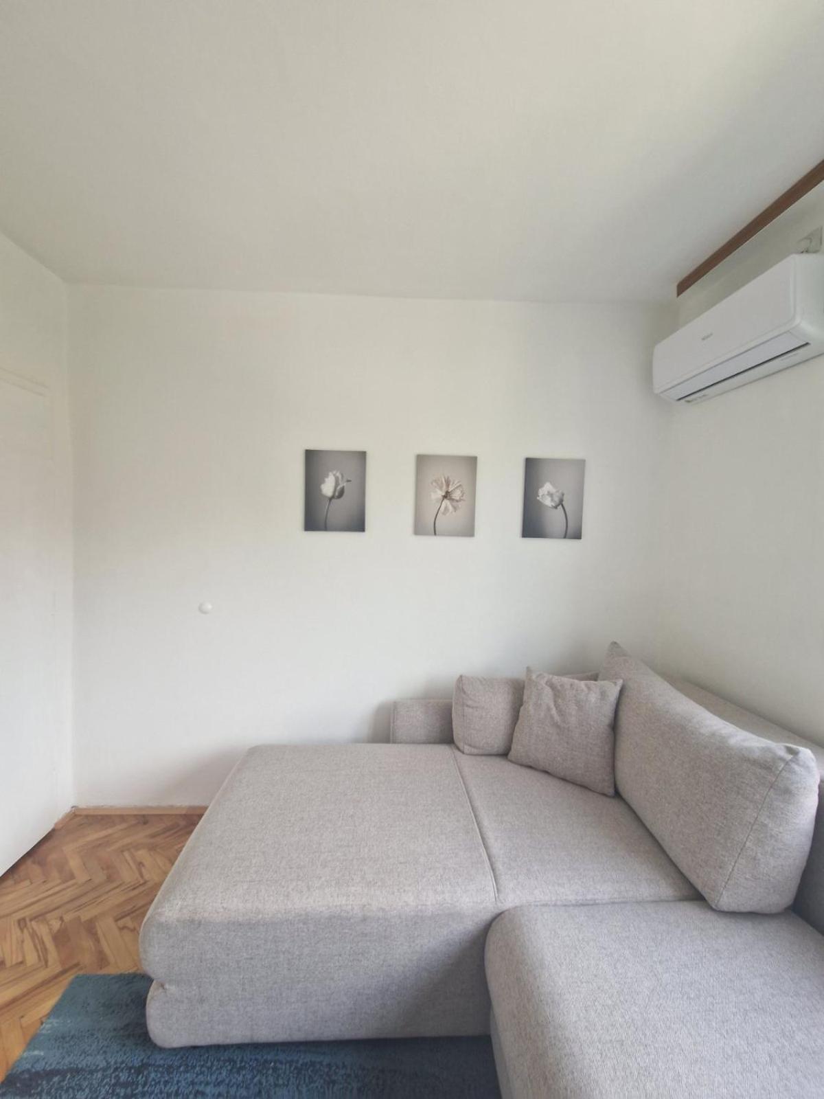 Apartman Mamut Apartment Donji Milanovac Luaran gambar